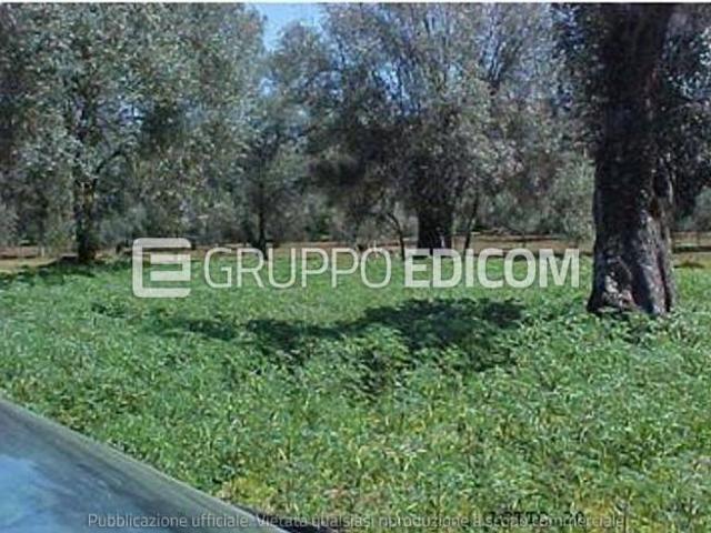 Terreno in vendita a Rizziconi, Reggio Calabria