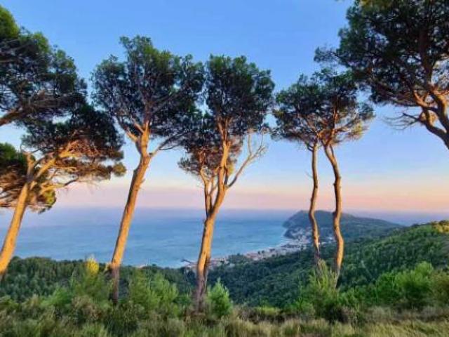 Terreno in vendita a Alassio, Liguria