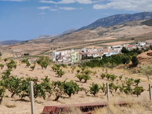 Terreno en venta en Comarca de la Vega de Granada, Andalucía