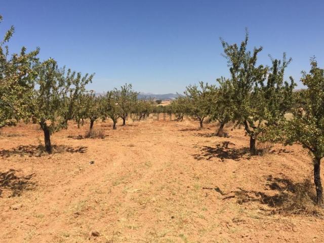 Terreno en venta en Comarca de la Vega de Granada, Andalucía