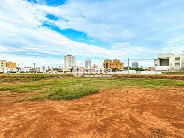 Terreno venda em Região Geográfica Imediata de Uberlândia, Oliveira Fortes