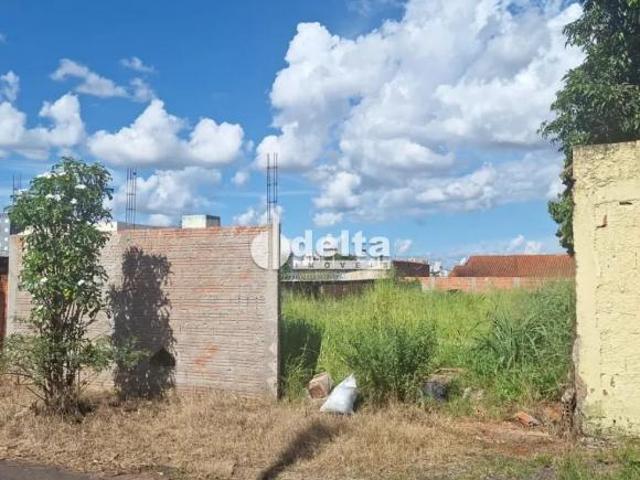 Terreno venda em Região Geográfica Imediata de Uberlândia, Oliveira Fortes