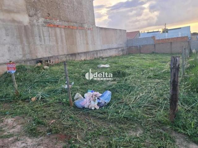 Terreno venda em Região Geográfica Imediata de Uberlândia, Oliveira Fortes