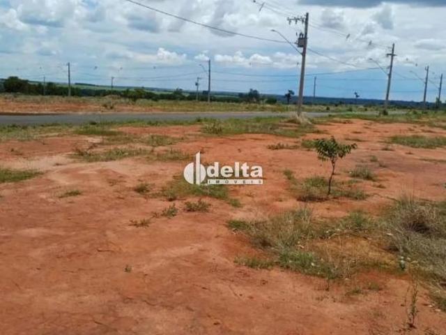 Terreno venda em Região Geográfica Imediata de Uberlândia, Oliveira Fortes