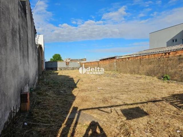 Terreno venda em Região Geográfica Imediata de Uberlândia, Oliveira Fortes
