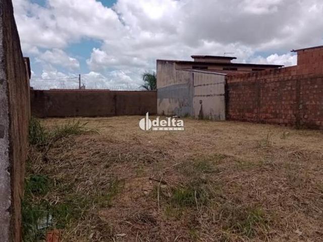 Terreno venda em Região Geográfica Imediata de Uberlândia, Oliveira Fortes