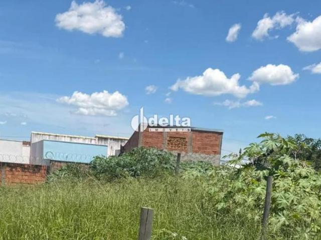 Terreno venda em Região Geográfica Imediata de Uberlândia, Oliveira Fortes