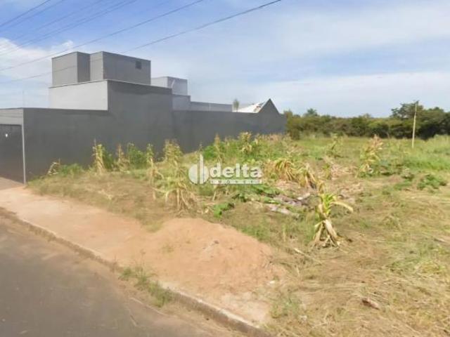 Terreno venda em Região Geográfica Imediata de Uberlândia, Oliveira Fortes