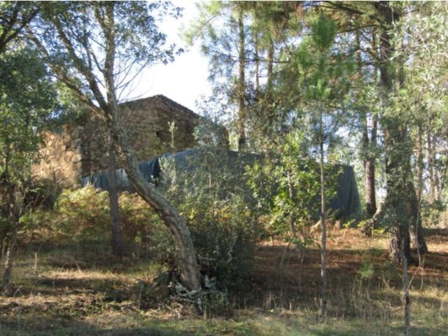 Terreno venda em Abrantes, Santarém