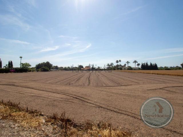 Terreno en venta en el Baix Segura / La Vega Baja, Valencia