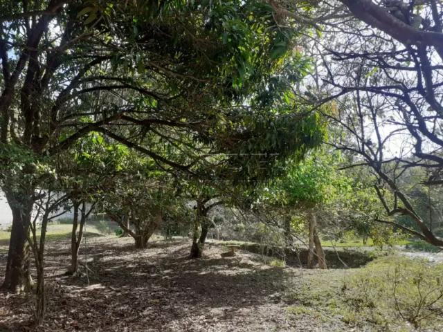 Fazenda venda em Região Imediata de São José dos Campos, Região Metropolitana do Vale do Paraíba e Litoral Norte