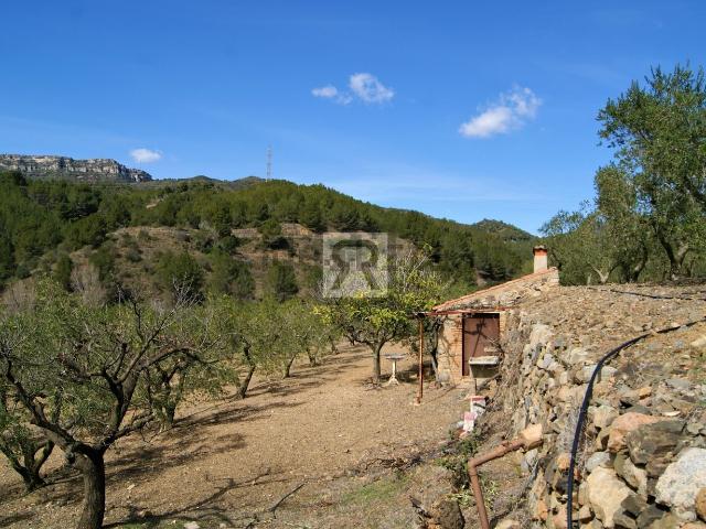 Terreno en venta en Baix Camp, Catalunya