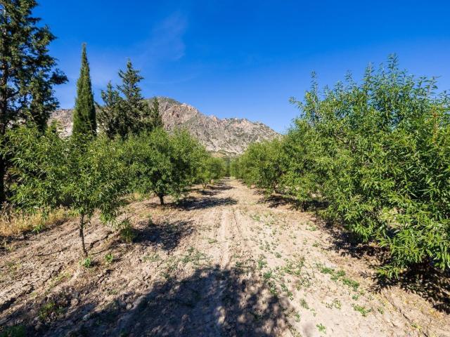 Terreno en venta en Comarca del Valle de Lecrín, Andalucía
