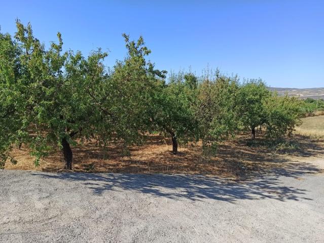 Terreno en venta en Comarca del Valle de Lecrín, Andalucía