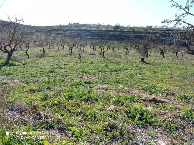 Terreno en venta en Comarca del Valle de Lecrín, Andalucía