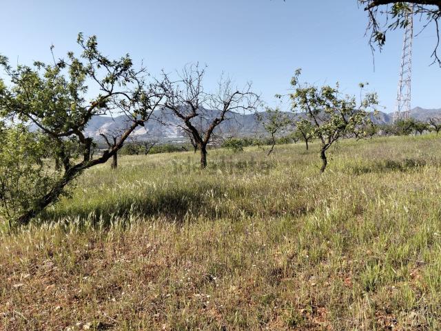 Terreno en venta en Comarca del Valle de Lecrín, Andalucía