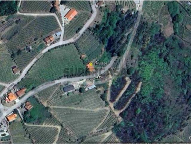 Terreno venda em Corredoura, Mesão Frio
