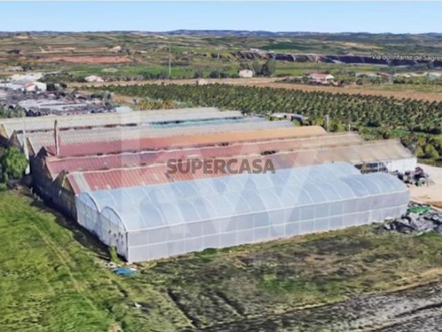 Terreno venda em Lagoa, Faro