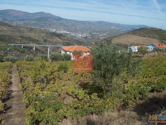 Terreno venda em Lamego, Viseu