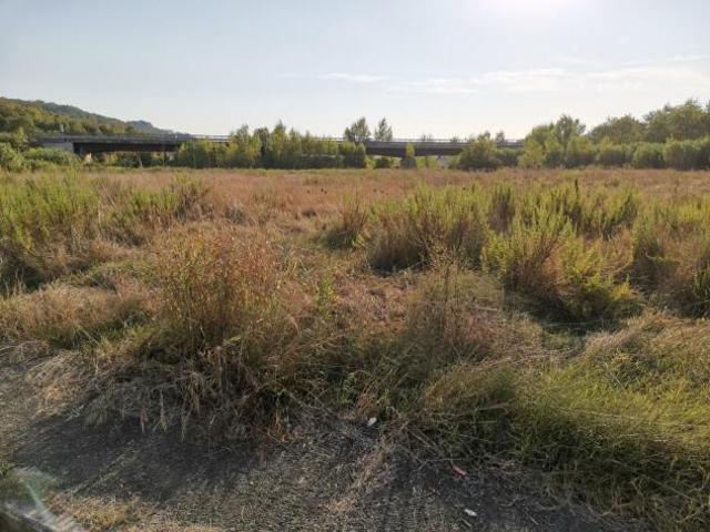 Terreno in vendita a San Gimignano, Toscana