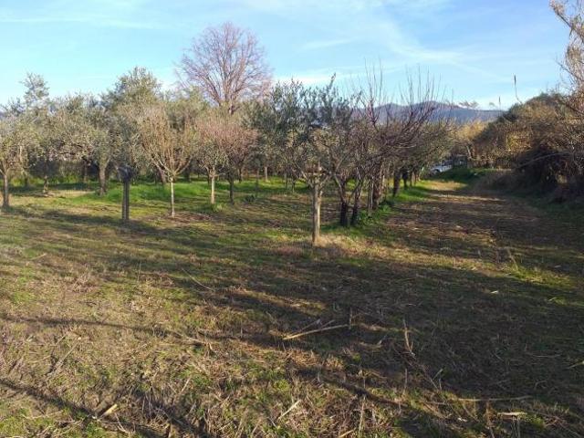 Terreno in vendita a Castelnuovo Magra, Liguria