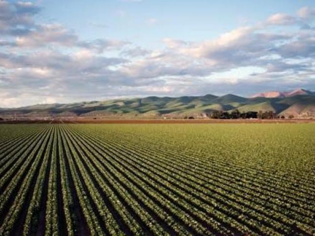 Terreno in vendita a Unione dei Comuni Circondario dell'Empolese Valdelsa, Fucecchio