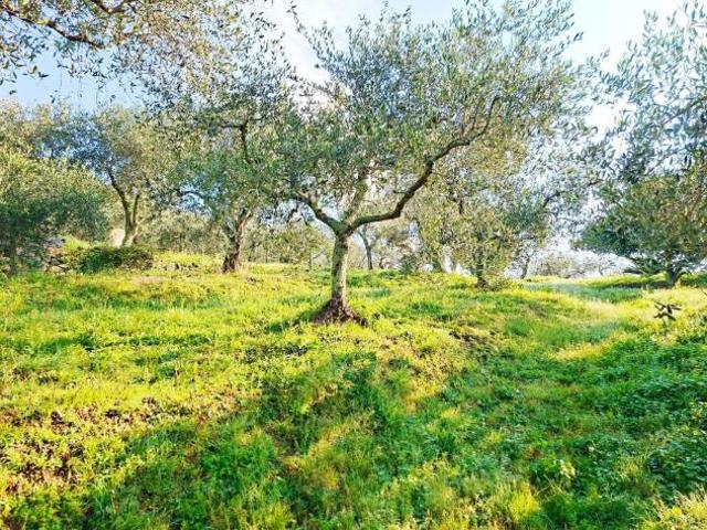 Terreno in vendita a Buti, Toscana