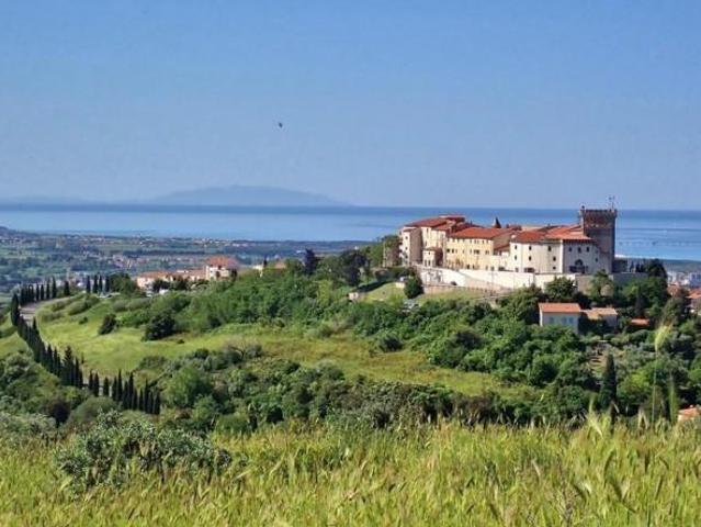 Terreno in vendita a Rosignano Marittimo, Toscana