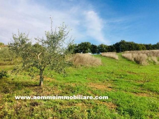 Terreno in vendita a Casole d'Elsa, Siena