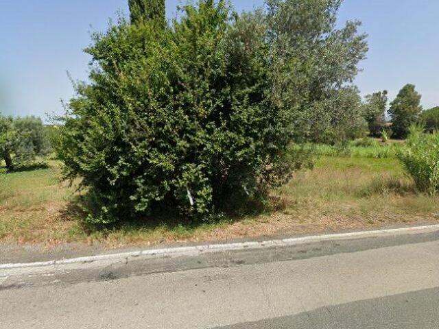 Terreno in vendita a Cecina, Toscana