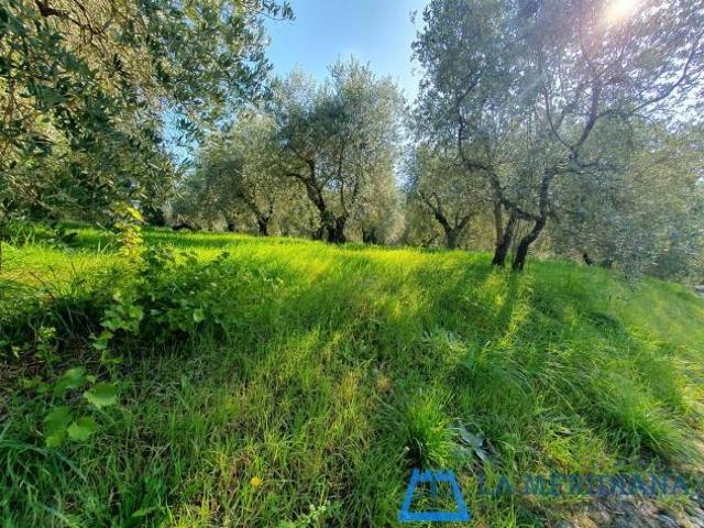 Terreno in vendita a Lamporecchio, Toscana