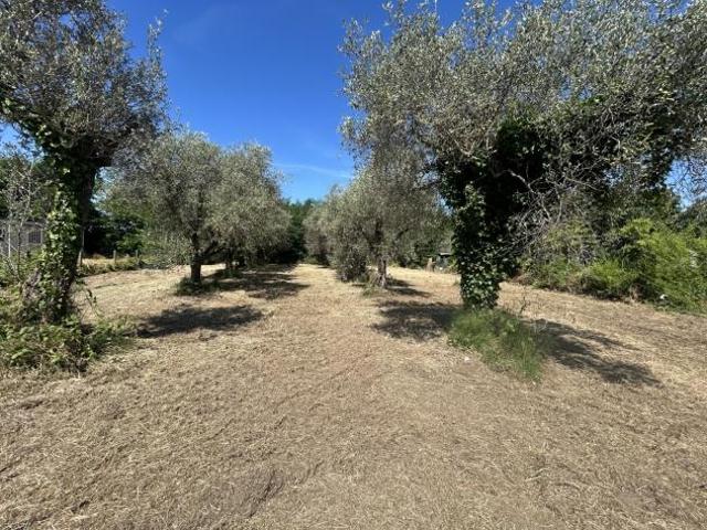 Terreno in vendita a Luni, Liguria