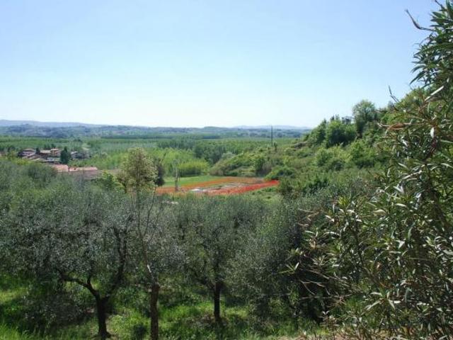 Terreno in vendita a Pontedera, Toscana