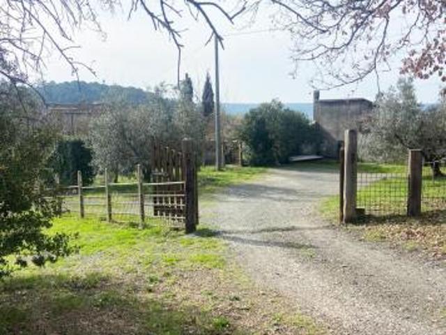 Terreno in vendita a Riparbella, Toscana