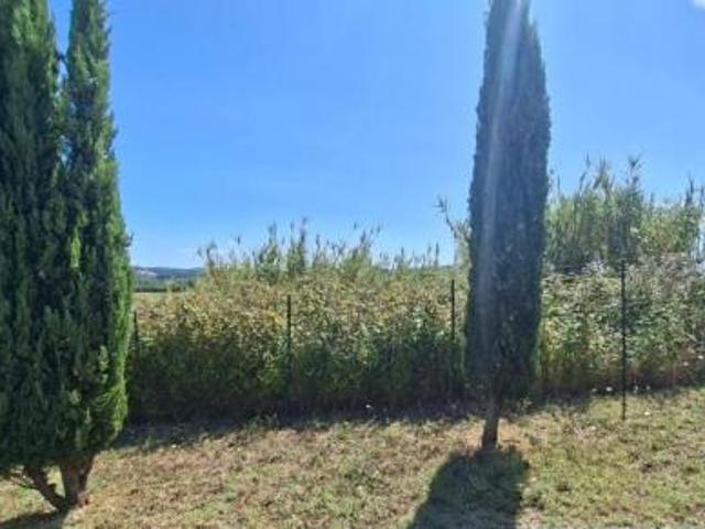 Terreno in vendita a Terricciola, Toscana