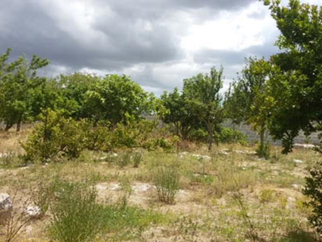 Terreno in vendita a Puglia, Lecce