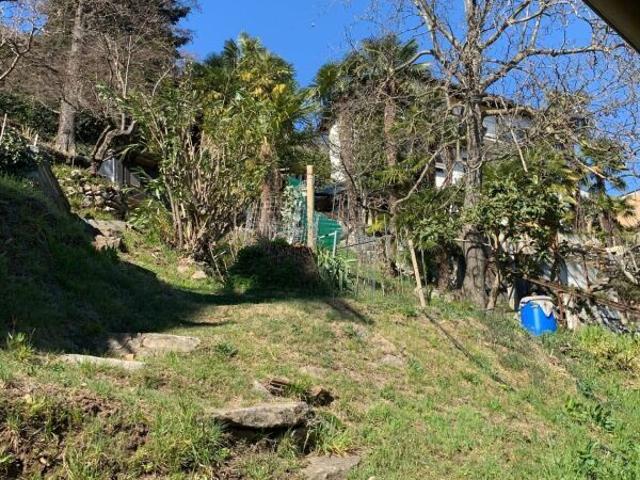 Einfamilienhaus kaufen in Orselina, Tessin