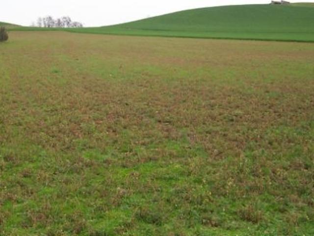 Terreno in vendita a Lonato, Lombardia