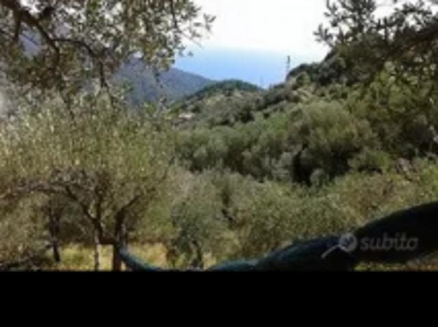 Terreno in vendita a Moneglia, Liguria
