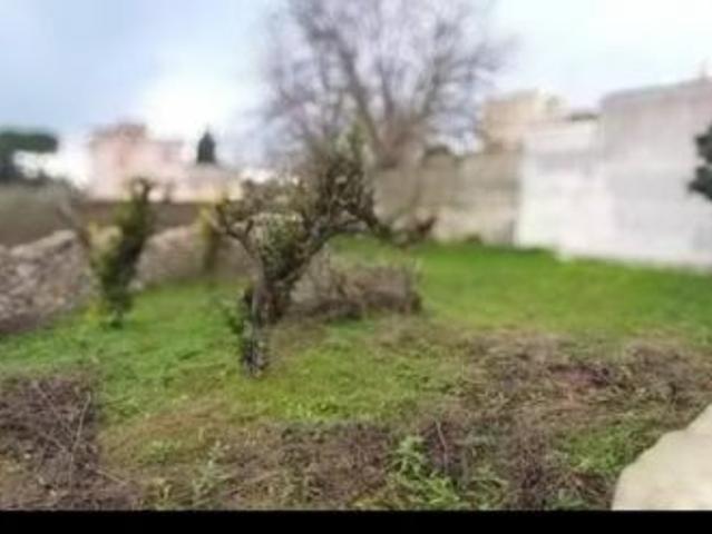 Terreno in vendita a Puglia, Lecce