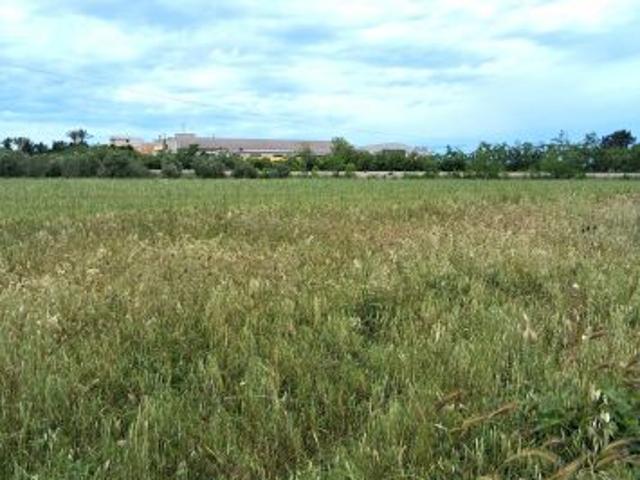 Terreno in vendita a Puglia, Lecce
