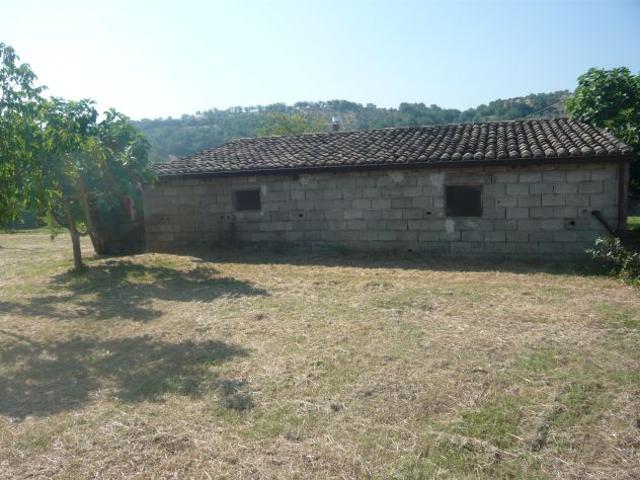 Terreno in vendita a Calabria, Cosenza