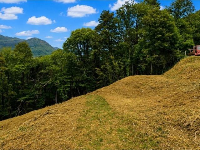 Grundstück kaufen in Bioggio, Tessin