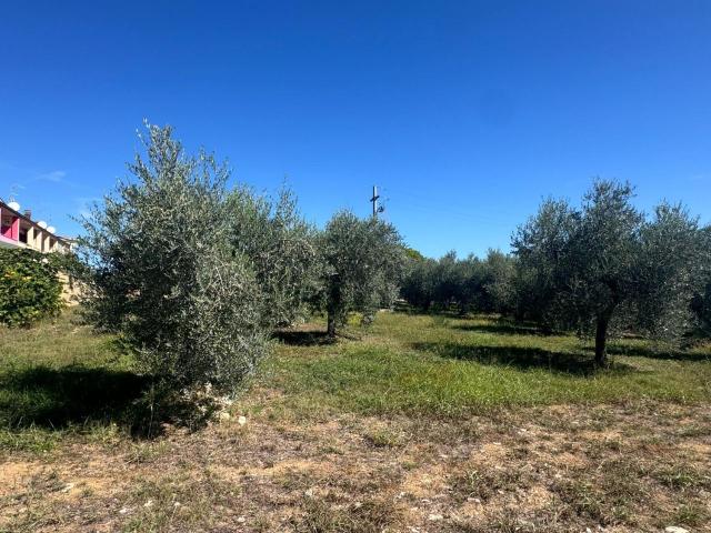 Terreno in vendita a Pianella, Abruzzo