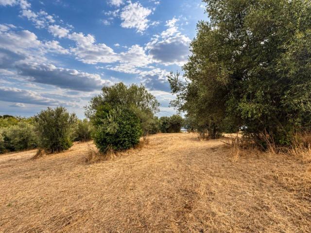 Terreno in vendita a Santa Teresa, Spoltore