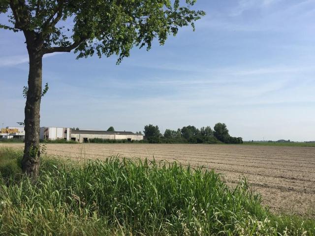 Terreno in vendita a San Marco, Reana Del Roiale