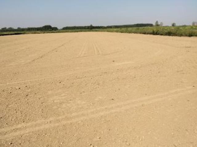 Terreno in vendita a Suardi, Lombardia
