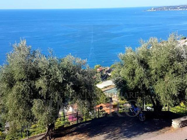 Terreno in vendita a Grimaldi Inferiore, Ventimiglia