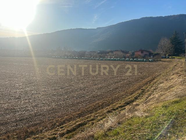 Terreno in vendita a Tregnago, Veneto