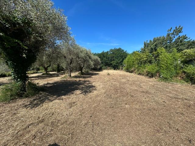 Terreno in vendita a Isola, Luni